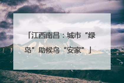 江西南昌：城市“绿岛”助候鸟“安家”