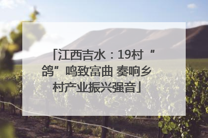 江西吉水：19村“鸽”鸣致富曲 奏响乡村产业振兴强音