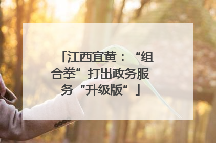 江西宜黄：“组合拳”打出政务服务“升级版”