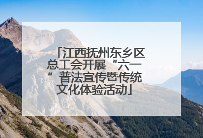 江西抚州东乡区总工会开展“六一”普法宣传暨传统文化体验活动