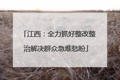 江西：全力抓好整改整治解决群众急难愁盼