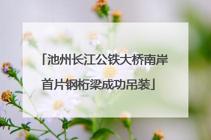 池州长江公铁大桥南岸首片钢桁梁成功吊装