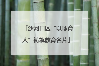 沙河口区“以球育人”铸就教育名片
