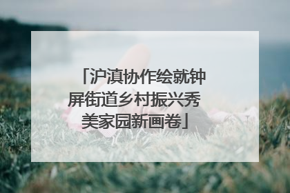 沪滇协作绘就钟屏街道乡村振兴秀美家园新画卷