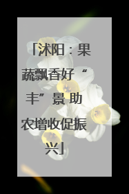 沭阳：果蔬飘香好“丰”景 助农增收促振兴