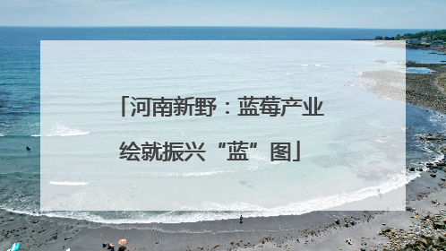河南新野：蓝莓产业绘就振兴“蓝”图