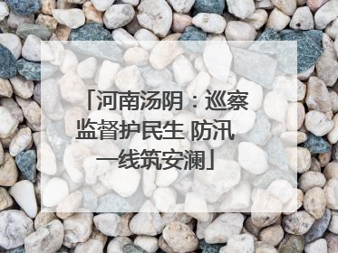 河南汤阴：巡察监督护民生 防汛一线筑安澜