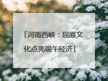 河南西峡：屈原文化点亮端午经济