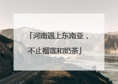 河南遇上东南亚，不止榴莲和奶茶