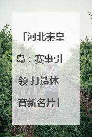 河北秦皇岛：赛事引领 打造体育新名片