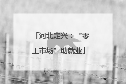 河北定兴：“零工市场”助就业