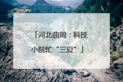 河北曲周：科技小院忙“三夏”