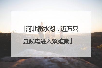 河北衡水湖：近万只夏候鸟进入繁殖期