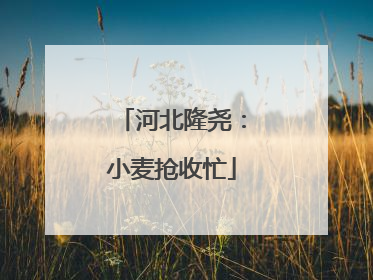 河北隆尧：小麦抢收忙