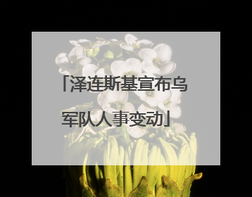 泽连斯基宣布乌军队人事变动