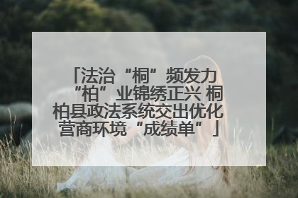 法治“桐”频发力 “柏”业锦绣正兴 桐柏县政法系统交出优化营商环境“成绩单”