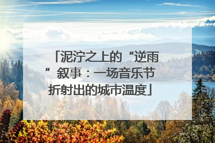 泥泞之上的“逆雨”叙事：一场音乐节折射出的城市温度