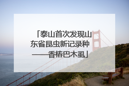 泰山首次发现山东省昆虫新记录种——香椿巴木虱