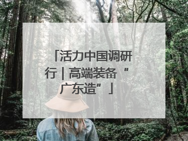 活力中国调研行｜高端装备“广东造”