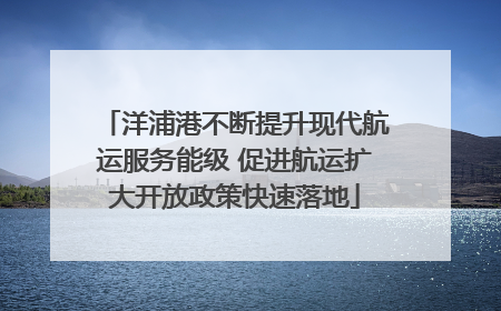 洋浦港不断提升现代航运服务能级 促进航运扩大开放政策快速落地