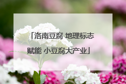 洛南豆腐 地理标志赋能 小豆腐大产业
