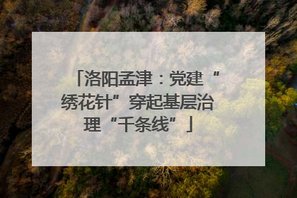 洛阳孟津：党建“绣花针”穿起基层治理“千条线”
