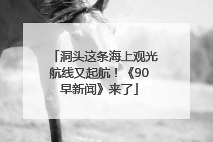 洞头这条海上观光航线又起航！《90早新闻》来了