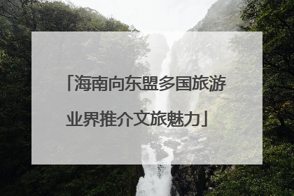 海南向东盟多国旅游业界推介文旅魅力