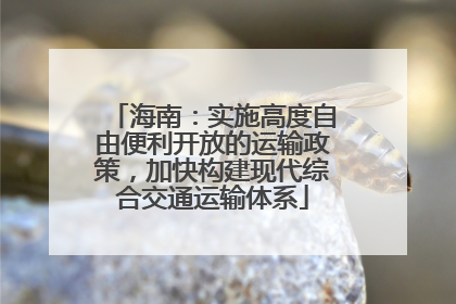 海南：实施高度自由便利开放的运输政策，加快构建现代综合交通运输体系