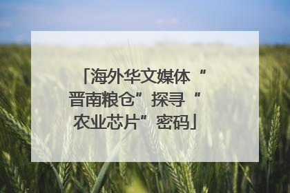 海外华文媒体“晋南粮仓”探寻“农业芯片”密码
