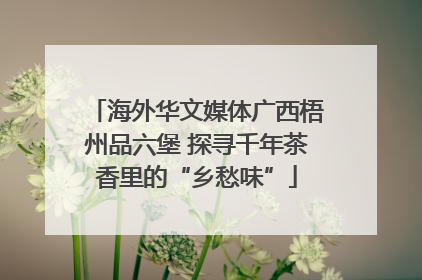 海外华文媒体广西梧州品六堡 探寻千年茶香里的“乡愁味”
