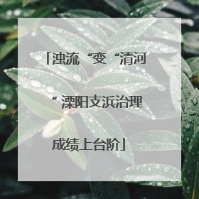 浊流“变“清河“ 溧阳支浜治理成绩上台阶