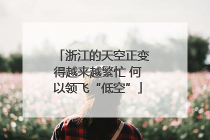 浙江的天空正变得越来越繁忙 何以领飞“低空”