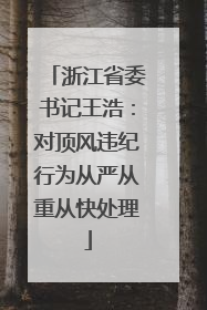 浙江省委书记王浩：对顶风违纪行为从严从重从快处理