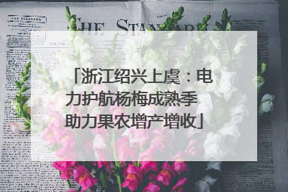 浙江绍兴上虞：电力护航杨梅成熟季 助力果农增产增收