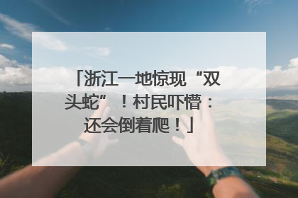 浙江一地惊现“双头蛇”！村民吓懵：还会倒着爬！