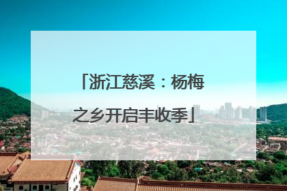 浙江慈溪：杨梅之乡开启丰收季