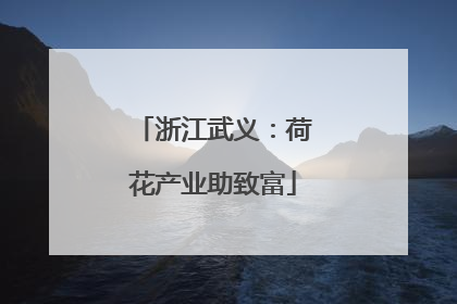 浙江武义：荷花产业助致富