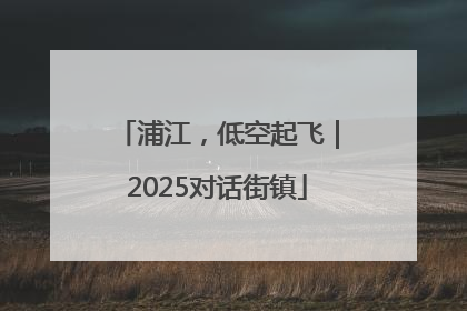 浦江，低空起飞｜2025对话街镇