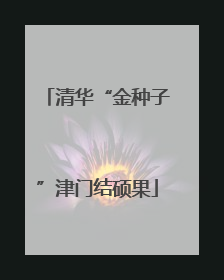 清华“金种子”津门结硕果