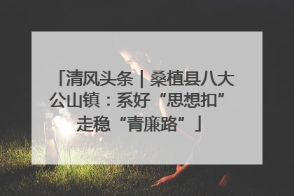 清风头条｜桑植县八大公山镇：系好“思想扣” 走稳“青廉路”