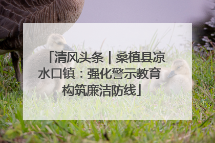 清风头条｜桑植县凉水口镇：强化警示教育 构筑廉洁防线