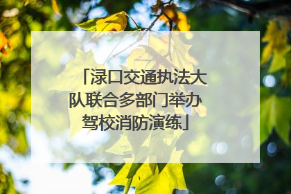 渌口交通执法大队联合多部门举办驾校消防演练