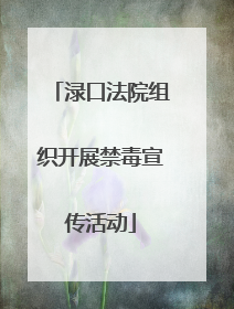渌口法院组织开展禁毒宣传活动