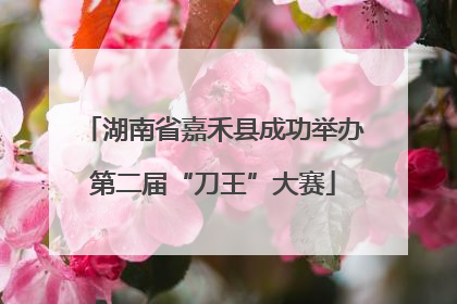 湖南省嘉禾县成功举办第二届“刀王”大赛
