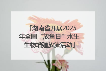 湖南省开展2025年全国“放鱼日”水生生物增殖放流活动