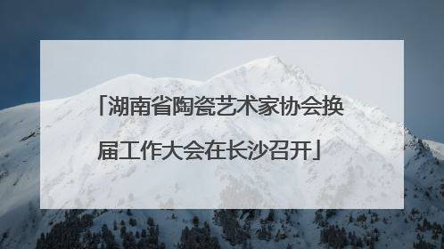 湖南省陶瓷艺术家协会换届工作大会在长沙召开