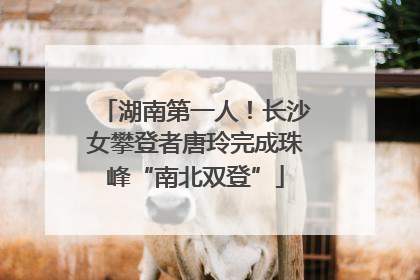 湖南第一人！长沙女攀登者唐玲完成珠峰“南北双登”