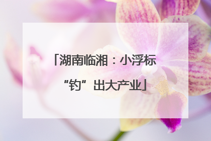 湖南临湘：小浮标“钓”出大产业