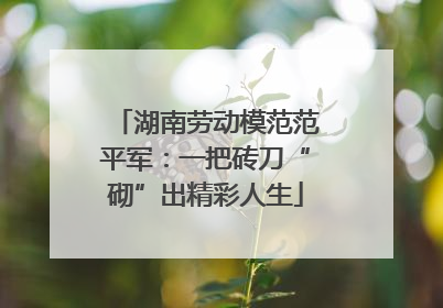 湖南劳动模范范平军：一把砖刀“砌”出精彩人生